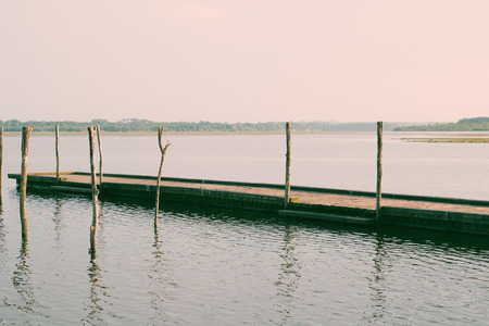 Wooden pier and tree in the Soustons lake, Landes, Franceの写真素材