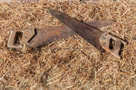 Two old wood saw on dry grass backgroundの写真素材