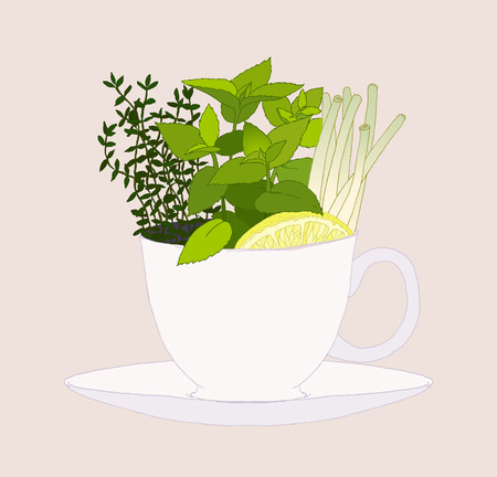 Set of fresh herbs in a tea cup. Vector illustrationのイラスト素材