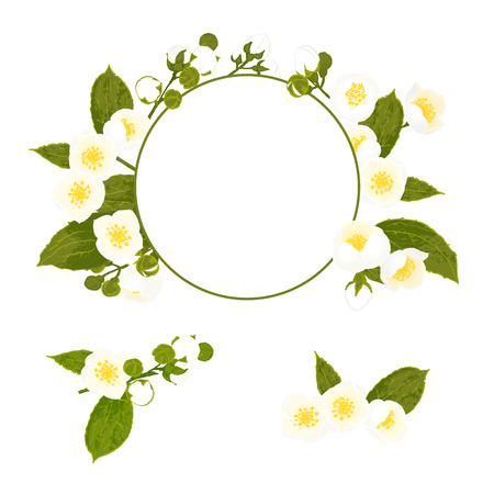 White flowers collection with wreath, foliage and branch. Botanical style vector illustration.のイラスト素材