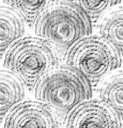 Abstract graphic scales. Hand drawn seamless pattern.の写真素材