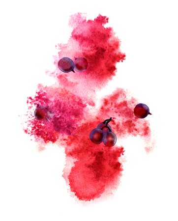 White wine splash and grapes on white background. Hand-painted watercolor illustration.の写真素材