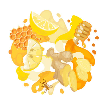Lemon, ginger and honey on abstract background. Healthy ingredients. Vector illustrationのイラスト素材