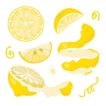 Set of slices of lemon on isolated background. Lemons and zest. Vector illustrationのイラスト素材