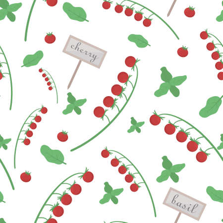 Background with tomatoes and cherry tomatoes, basil for design use in food packaging. Cherry seamless pattern. Vector illustration.のイラスト素材