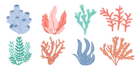 Set of 8 elements of underwater planting. Bright colorful set of seaweed and corals. modern flat illustration.のイラスト素材