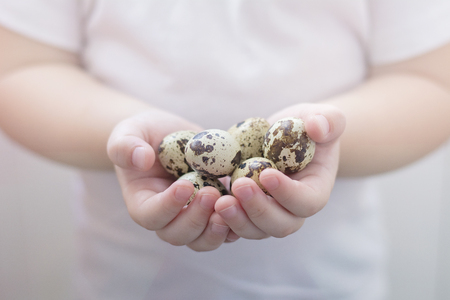 Quail eggs holding in small kids handsの写真素材