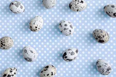 Quail eggs on dotted fabric backgroundの写真素材