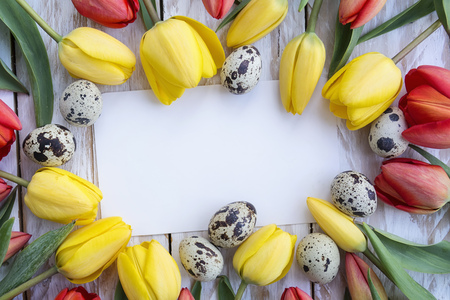 Quail eggs, yellow tulips and white card on wooden background. Easter concept Top view with copy spaceの写真素材