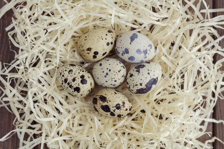 Quail eggs in a straw nest, top viewの写真素材