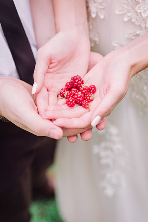 Newlyweds couple bride and groom is holding in their hands ruspberries. Love and wedding concept, cropped.の写真素材