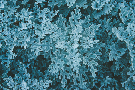 Background made of fresh green leaves. Green dynamic backdrop.