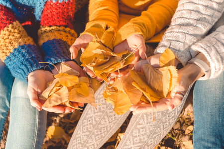 Women in colorful knitted clothing hold autumn yellow leaves in their hands. Funny spend time with friends.の写真素材