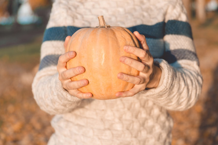 Small orange pumpkin in woman's hands. Halloween concept.の写真素材
