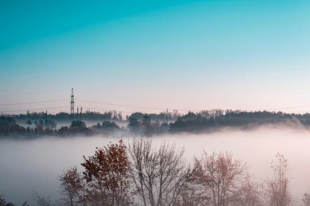 Stunning view of morning forest landscape in foggy weather.