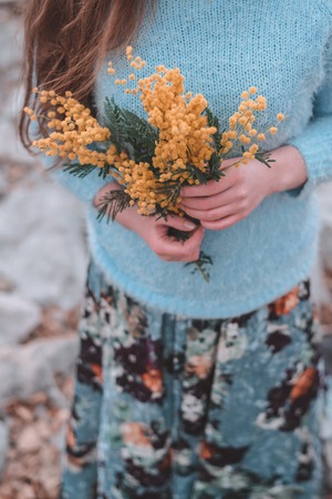 Mimosa yellow flowers in womans hands, cropped.の写真素材