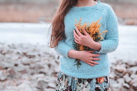 Mimosa yellow flowers in womans hands, cropped.の写真素材