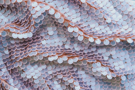 Beige shiny fabric with sequins, abstract background. Close-up.の写真素材