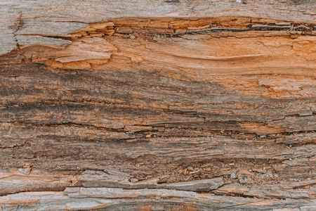 Natural brown old wooden background. Old texture.の写真素材