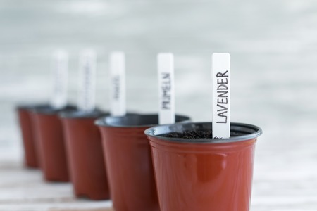 White tags in brown pots. Potted plants on white wooden background.の写真素材