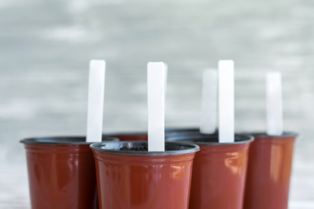 White tags in brown pots. Potted plants on white wooden background.の写真素材