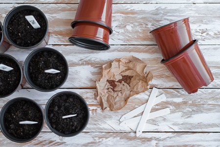 Brown pots with black soil, white labels and seeds of plants on sackcloth background.の写真素材