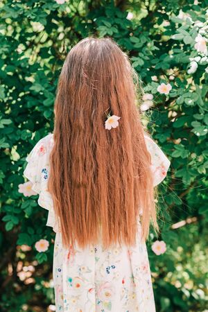 Back view of a beautiful young girl dressed in white dress with curly brown hair and flower in it standing near the blooming bush. Vertical.の写真素材