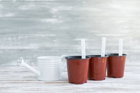 Brown pots with labels and white water can. Potted plants on white wooden background. Copy space.の写真素材