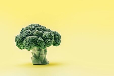 Piece of broccoli on yellow background like tree. Copy space.の写真素材