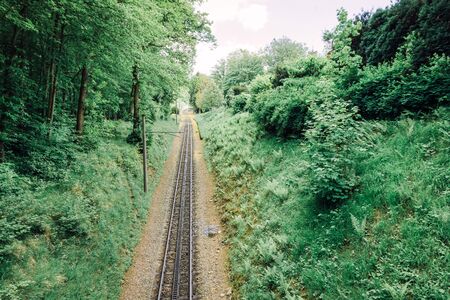 Train on railway transportation in green forest. Transportation conceptの写真素材