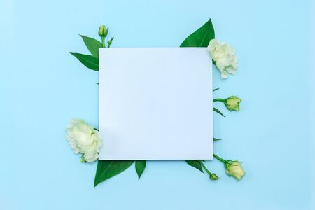Paper blank with fresh white flowers on pastel blue background. Flat lay, top view.の写真素材