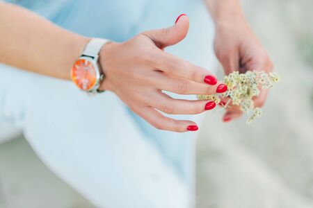 Woman hands in watch holding field bouquet. Cropped. Selective focus.の写真素材