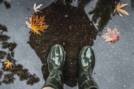 Feet in olive green rubber boots standing in a puddle with fallen leaves. Autumn concept.の写真素材