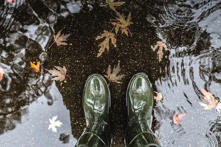 Feet in olive green rubber boots standing in a puddle with fallen leaves. Autumn concept.の写真素材