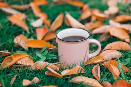 Cup with hot black tea among fallen autumn leaves. Copy space.の写真素材