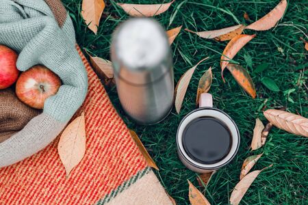 Autumn picnic in the park with tea, apples and pumpkin on warm blanket in yellow autumn leaves.の写真素材