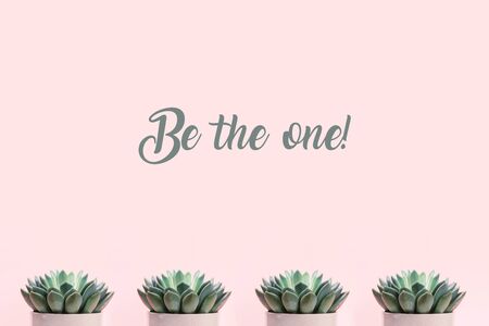 Be the one banner made with succulents on pale pink background. Creative background with place for text. Cropped.の写真素材