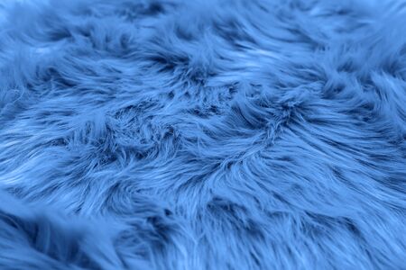 Fur background toned blue color. Sheepskin background and texture. Fur pattern, 2020.の写真素材