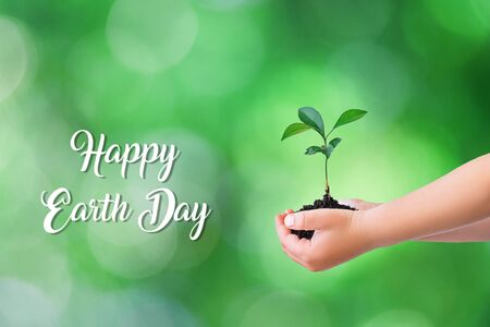 Children's hands holding small green plant growing seedlings on natural green bokeh background. Earth Day concept, card.の写真素材