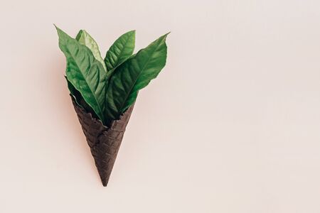 Group of green leaves in black ice-cream horn on pastel background with copy space. Creative and moody spring picture.の写真素材