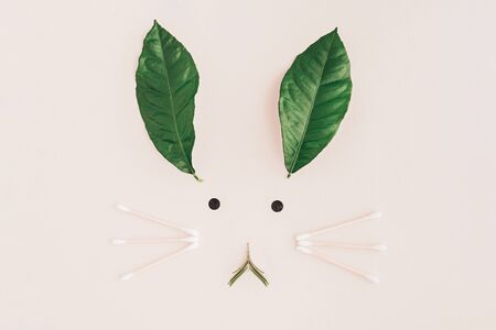 Bunny rabbit face made of natural green leaves with cotton buds mustache on pastel blue background. Easter minimal concept. Flat lay.の写真素材