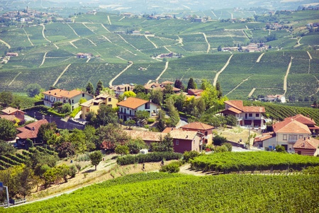 Attractive green village landscape in summerの写真素材