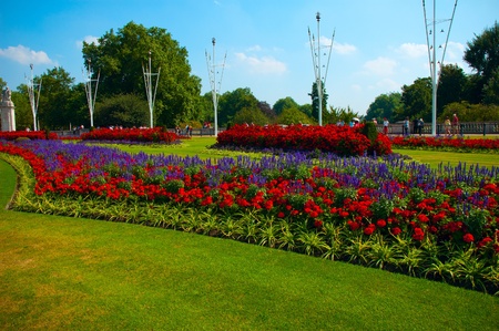 Picturesque flower composition in the green parkの写真素材