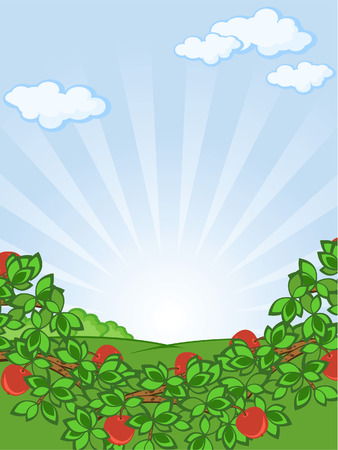 Apple-tree branches. A background.  A rural landscape.のイラスト素材