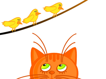 The red a cat looks at three yellow birdies. Isolated.のイラスト素材