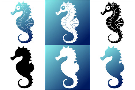 Set six silhouette white, blue and black sea horse on white and blue backgroundのイラスト素材