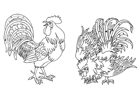 Fervent and fighting roosters black contour on white background.のイラスト素材