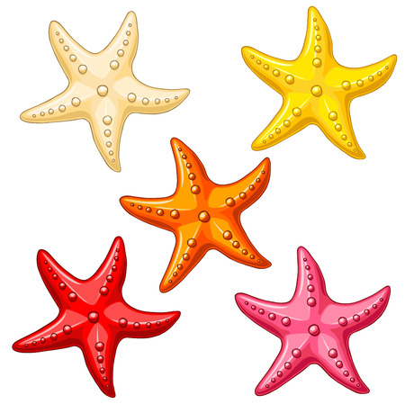 Set five multi-colored cheerful cute starfishes on a white background. Red, yellow, beige, pink and orange cartoon starfishes.のイラスト素材