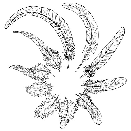 Set of ten black contour feathers of a rooster or birds on a white background.のイラスト素材