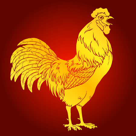 Crowing gold rooster on red background. Fiery red rooster symbol of the Chinese new year 2017. Vector illustration.のイラスト素材